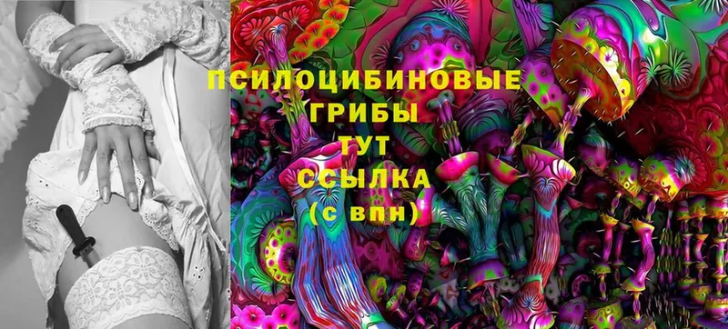 Галлюциногенные грибы Magic Shrooms  Балей 